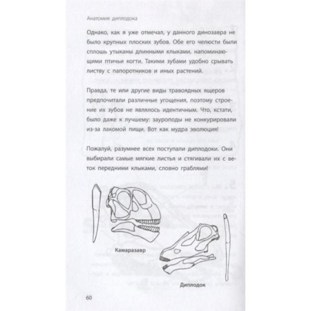 «Диплодок», Бен Гэррод-5