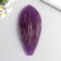 MOLD Plastic "LIST ORCHIDE OF THE BIGHT" 20.5X9 cm