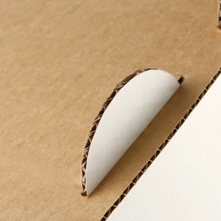 House with clawshell, 45 x 41 x 45.5 cm-5