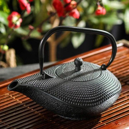 Kettle with sieve "Nagai", 900 ml, black color-1