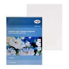 Album for acrylic and gouache A3, 12 sheets, 180 g/m2, 