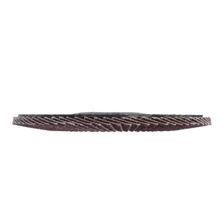Circle of petal conical scrap, 125 x 22 mm, P100-3