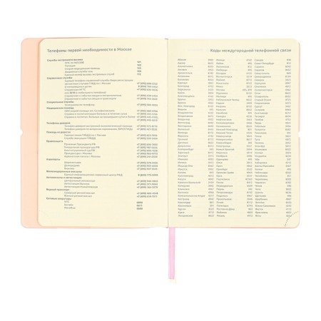 Diary of Leduced A5 136 DEVENTE sheets. Jane, soft pvc cover, elastic band, perforation, liesse, block 70, pink-10