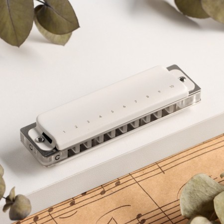 Music Life T008L Clinkle C Diatonic, 10 holes, with a case-1