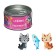 Davente Candy Cat Eraser, set 6 pieces, 40x27x7mm and 40x17x5mm, iron bank