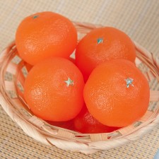 Silicone form for soap 
