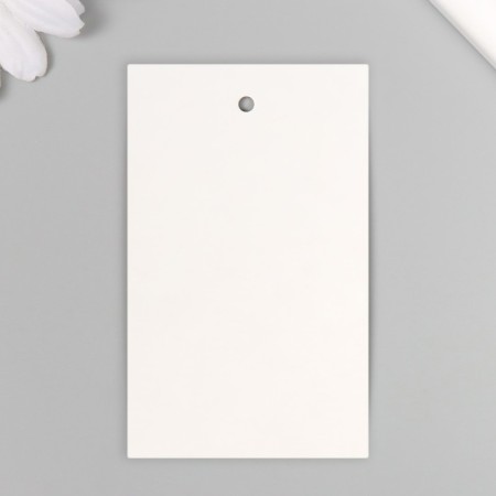 Tag without print Craft two -sided 8x5 cm-1