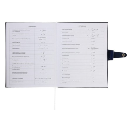 Universal diary for grade 1-11 Favorite, soft cover, button, artificial leather, foil embossing, refrain, lies, 48 ​​sheets-21