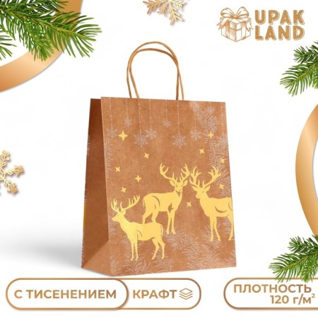 Golden embossing craft package, round handle, "New Year" 33 x 25 x 12 cm, 120 g