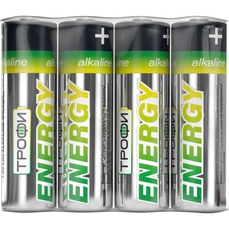 The battery is alkalin "Trophy" Eco, AA, LR6-4S, 1.5V, Spike, 4 pcs.