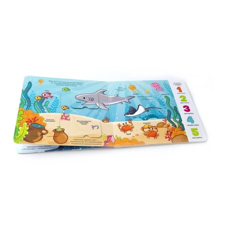 Sea: Book with windows-1