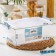 Food container Ricco, 9.75 l, 37.5 × 25 × 14 cm, rectangular, transparent color, blue