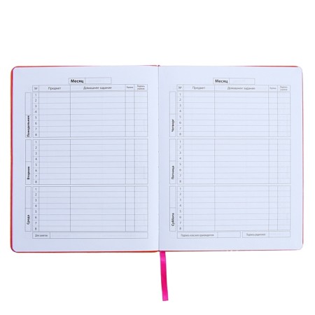 Universal Diary Grade 1-11, 48 sheets "Orange", solid cover of artificial leather, foil embossing-14