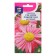 Flowers of Pyrethrum "Giants Robinson", Pink, 0.05 g