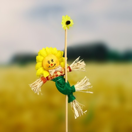 The garden scarecrow "Sun", h = 50 cm, mix, Greengo-1