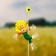 The garden scarecrow "Sun", h = 50 cm, mix, Greengo