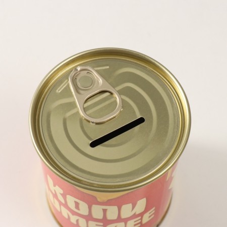 Pigging bank Metal "Copy Shmeleu"-4