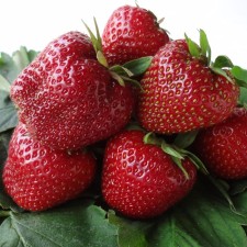 Strawberry garden vivara, p9 pot, 1 pc, summer 2024