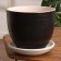 Flower Flower Potja Black Lines 6 L