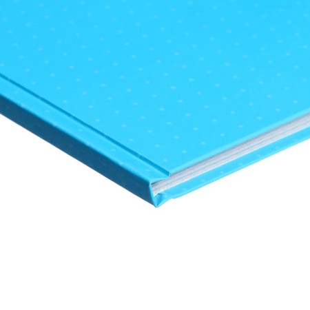 Book of accounting, 96 sheets, cardboard cover 7BC, newspaper block, cage, blue color-2