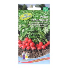 Seeds Radis 