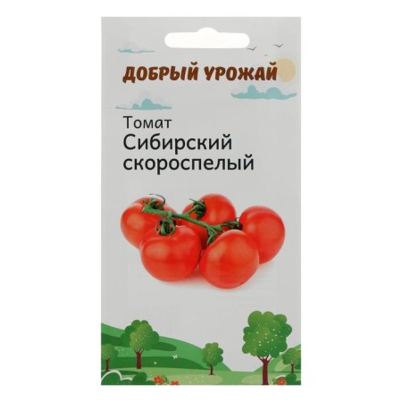 Siberian tomato seeds old