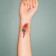Tattoo on the body color "watercolor. Parrot Ara" 6x6 cm