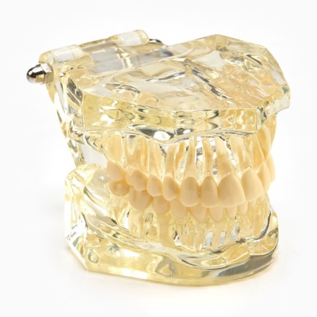 Magist "Jaw" 9*6*7cm