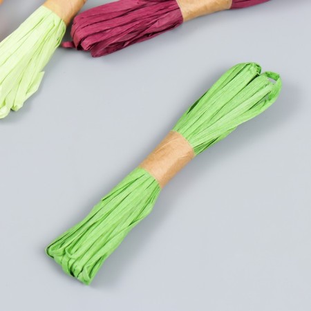 Yarn 100% cellulose "Rafia" set 12 pcs, 10 meters mix 22x14 cm-2