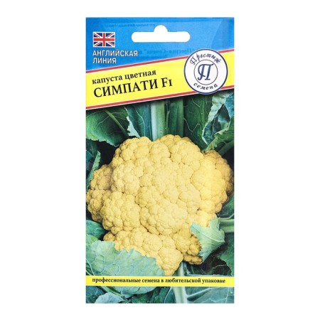 Seeds Cabbage Color "Sittle F1", C/P, 10 pcs.
