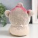 Growing gift Eco -Zhizhivchik "Unicorn w novel"