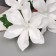 Artificial flowers "Clematis coarse -flowered" 61x14 cm, white