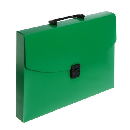A4 Calligrata Portfli folder, 1 department, 700 μm, up to 300 sheets, green-1