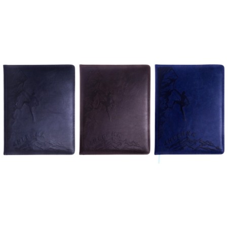 School diary for grades 5-11, PVC cover, "Scalolas", mix