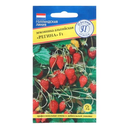 Alpine strawberries "Regina", F1, 0.5 gr.