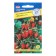 Alpine strawberries "Regina", F1, 0.5 gr.