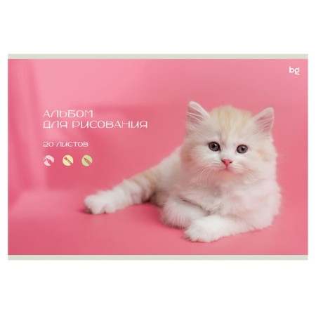 Album for drawing A4, 20 sheets "Dog and cat", cardboard cover, block 100 g/m2, mix-2