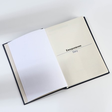 Deliciper of Leduced A5, 160 liters. Solid cover. Leatherette. Blue. Cream block-3