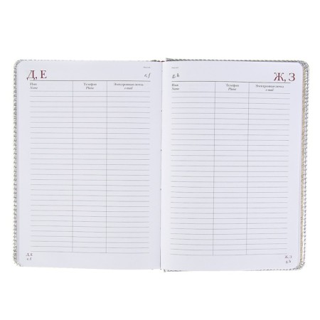 Diary of Leduced A5+, 136 sheets of Sidney Nebraska, Cover Artificial Leather, Silver Cut, Lascas, Silver-3