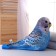 Antistress toy "Parrot"