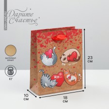 Package Gift Craft Vertical, packaging, “You are my happiness!”, MS 18 x 23 x 10 cm