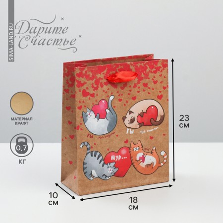 Package Gift Craft Vertical, packaging, “You are my happiness!”, MS 18 x 23 x 10 cm