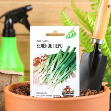 Seeds on the greens 