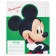 A set of notebooks 20 pieces, 12 sheets, Mickey Mouse