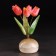 Souvenir "Vase Tulip", 5 flowers, selenite, small, selenite