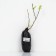 Jasmine Garden (Monaier) "Yellou Hill", 1 pc, tube, spring 2025