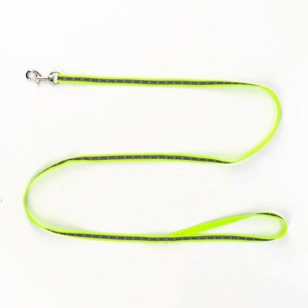 The reflective “bones” set, a collar 120 x 1 cm, Osh 26-42 cm, fire 26-42 cm, green-6