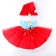 Carnival set "New Year": skirt, cap