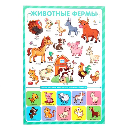 Training posters. Knowledge for preschoolers-4