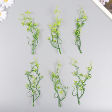 Artificial plant for creativity "Peperomy of Toolite" set of 6 pcs 17 cm